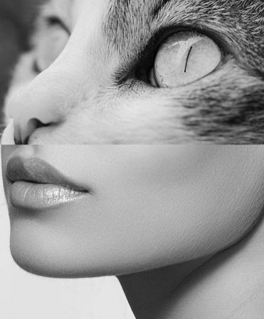 catwoman.jpg