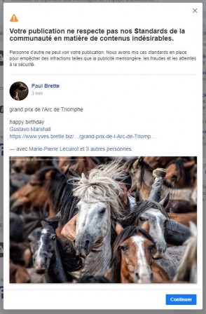 censure facebook chevaux 021019.JPG, oct. 2019