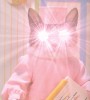 chat_appel_de_phares.gif