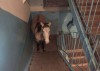 cheval_dans_l_escalier.jpg