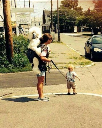chien_anniversaire_enfant.jpg