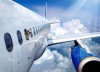 chien_avion_bonjour.jpg