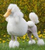 chien_canard_copine_pretentieuse.jpg