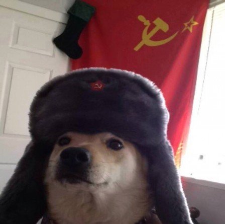 chien_communiste.jpg