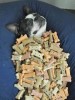 chien_croquettes_bon_appetit.jpg