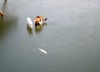 chien_de_peche.jpg
