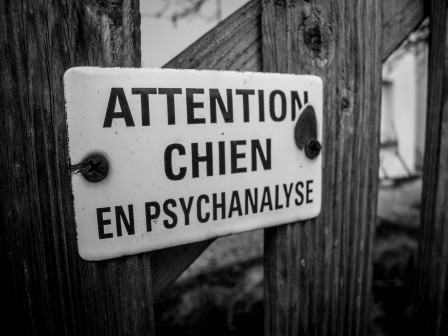 chien_en_psychanalyse.jpg