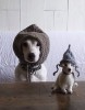 chien_enfant_soucis.jpg