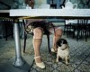 chien_femme_agee.jpg