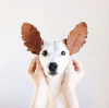 chien_oreilles_feuilles.png
