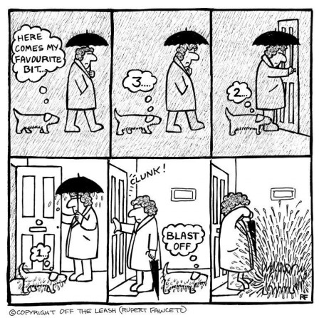 chien_pluie_compte_a_rebours_petits_plaisirs_de_la_vie.jpg