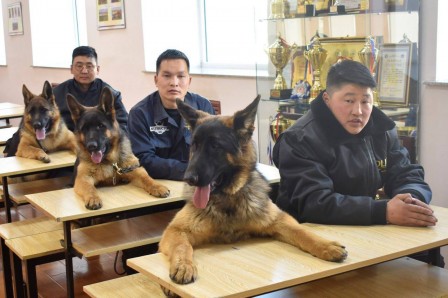 chien policier école de police.jpg