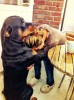 chien_psychotherapie.jpg