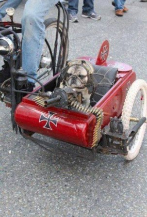 chien_side_car_guerre_baron_rouge.jpg