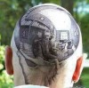 crane_tatouage_Escher_miroir.jpg