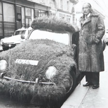 dali_voiture_a_fourure.jpg