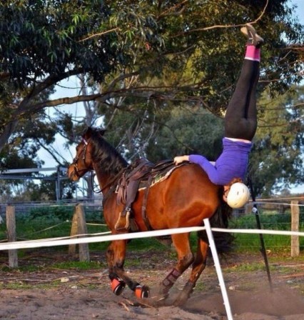 équitation demain j'arrête le cheval.jpg