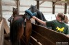 équitation sport noble.jpg