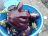 facebook vegan les légumes j'aime ça.jpg