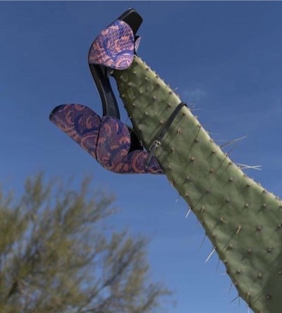 fille cactus.jpg