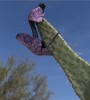 fille cactus.jpg
