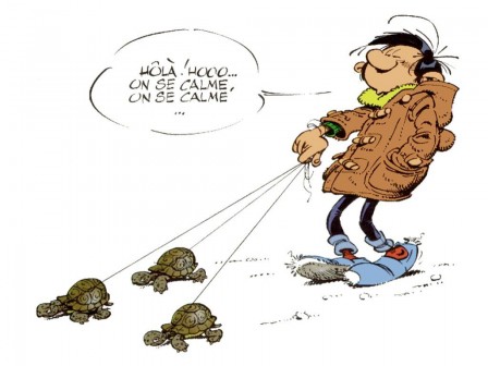 gaston_lagaffe_tortues.jpg