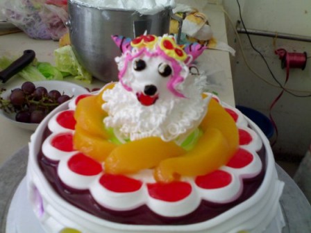 gateau_chien_anniversaire.jpg