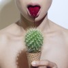 glace_cactus.jpg