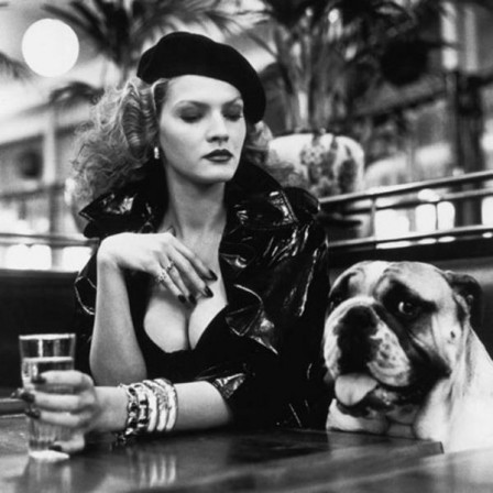helmut_newton_chien.jpg