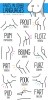 james_chapman_le_bruit_du_vent.jpg