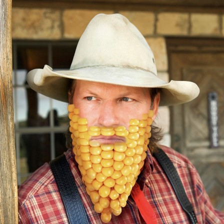 la barbe du fermier maïs.jpg