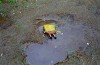 la_fin_tragique_de_Bob_l_eponge.jpg