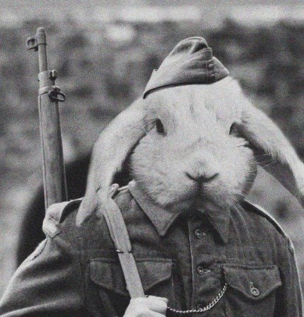 lapin_soldat_guerre_chasse.jpg