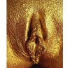 le_clitoris_d_or_Eldorado.jpg