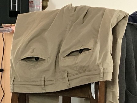 le pantalon a des yeux.jpg