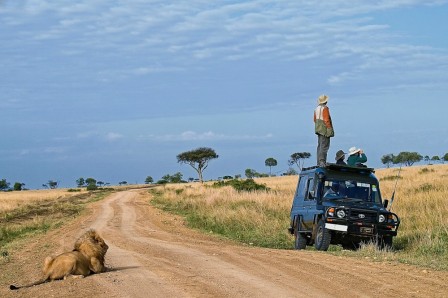 lion_safari_bonjour_bienvenue.jpg