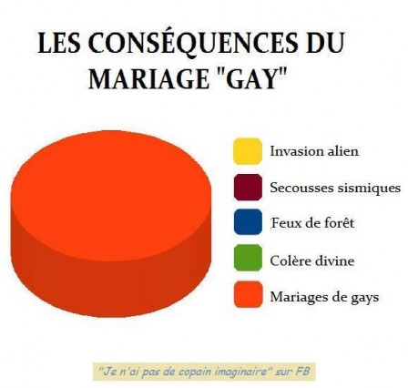 mariage_gay_consequences.jpg