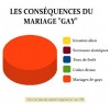 mariage_gay_consequences.jpg