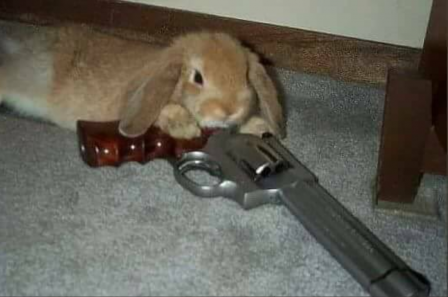 mort lapin assassin.png