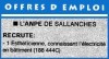 offre_emploi_estheticienne_electricienne.jpg