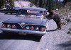 ours_autostop_autopartage_voiture.jpg