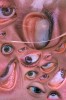 ouvrez_l_oeil_et_le_bon.jpg