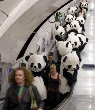 panda_metro.jpg