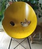 parabole_du_chien_veni_vidi_lundi.jpg