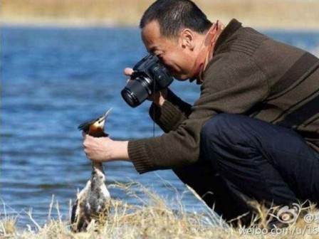 photographe animalier les dérives.jpg