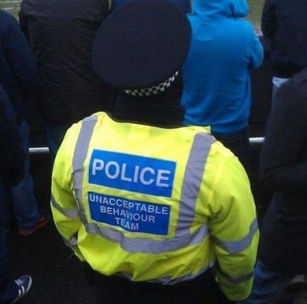 police comportement gilet jaune.jpg