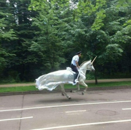 police licorne.jpg