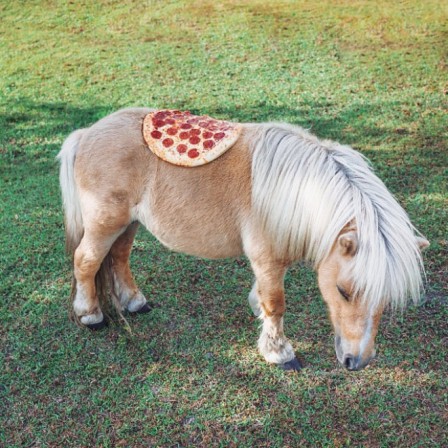 poney_selle_pizza.jpg