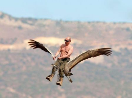 poutine_sur_un_aigle.jpg