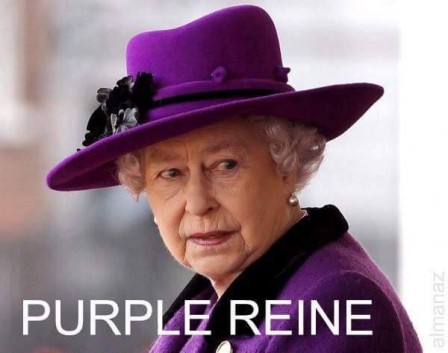 purple_reine.jpg